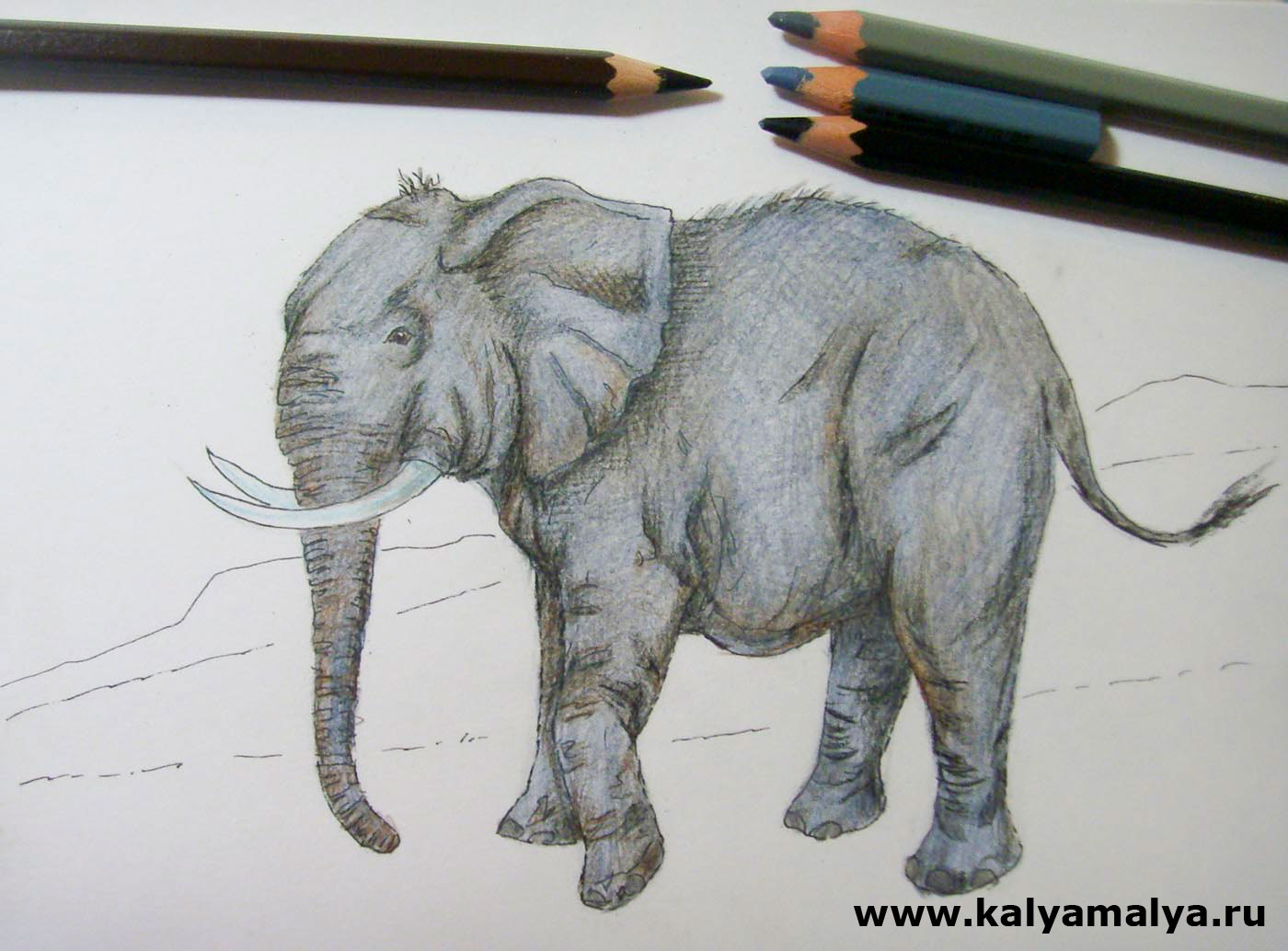 Слон раскрашенно карандашами