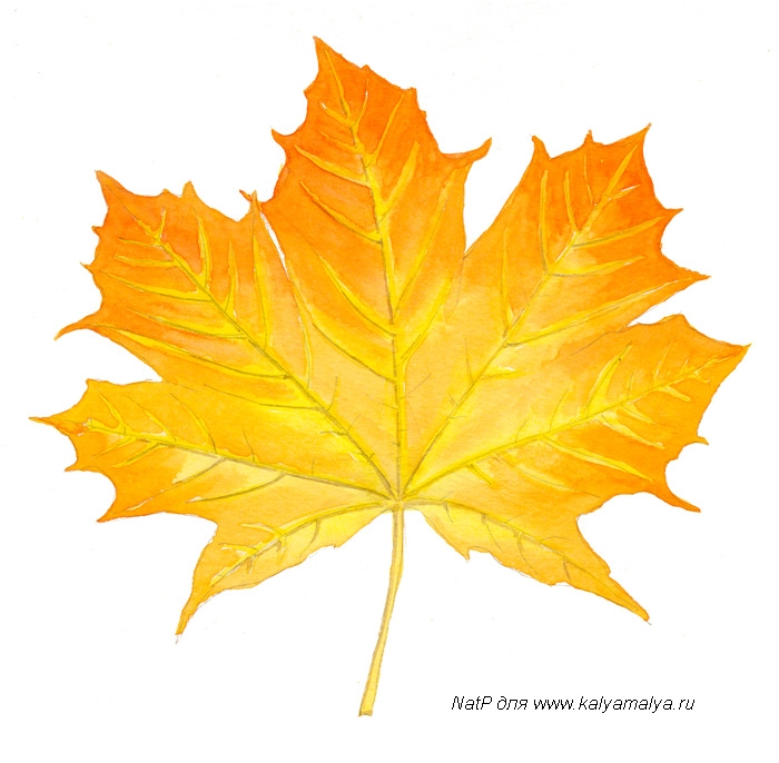 /images/library/lessons/maple-leaf4.jpg